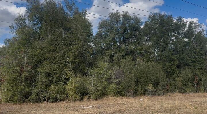 Property Photo:  1276 State Road 20  FL 32148 