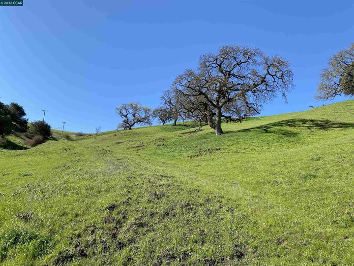 Property Photo:  2490 Tassajara Ln  CA 94526 