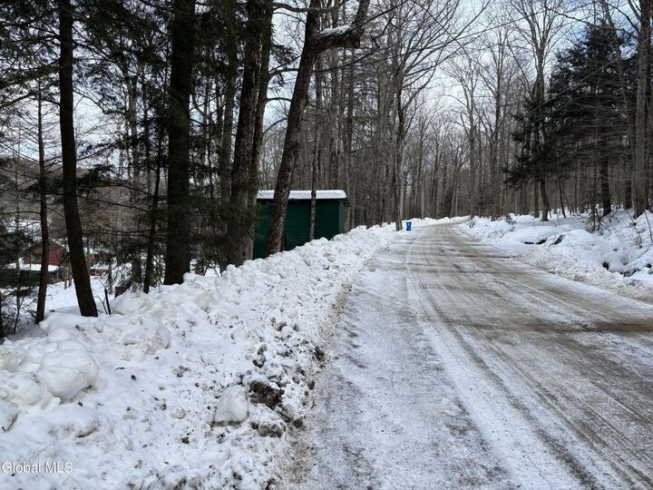 Property Photo: L 25 Sand Point Road NY 12032