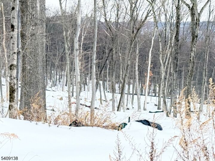 Property Photo:  10 Bristol Ridge Rd  NJ 07005 