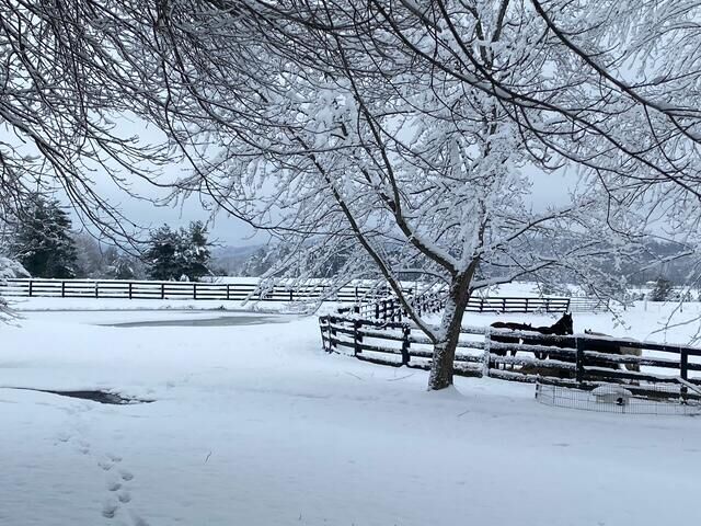 Property Photo:  575 Smith Brewer Road  KY 40744 