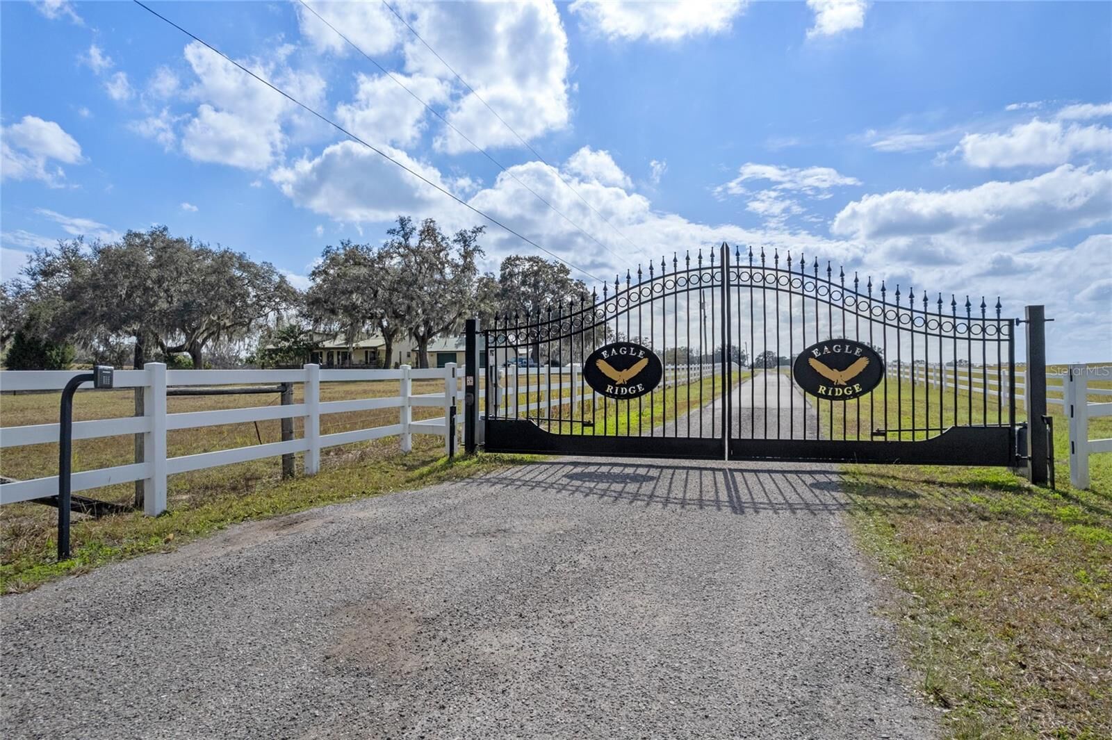 Property Photo:  14 Eagle Ridge  FL 33513 