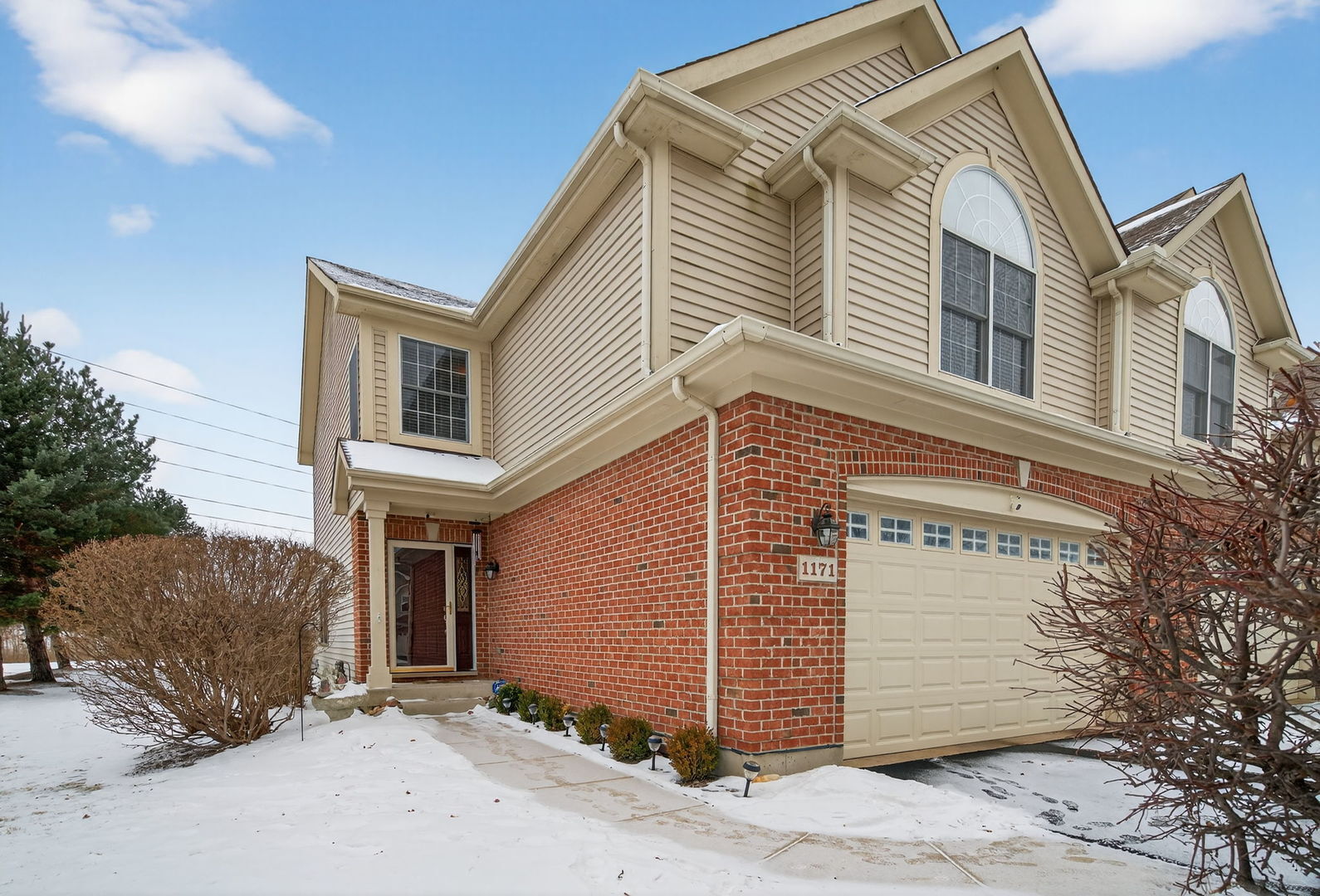 Property Photo:  1171 Kingsmill Drive  IL 60102 