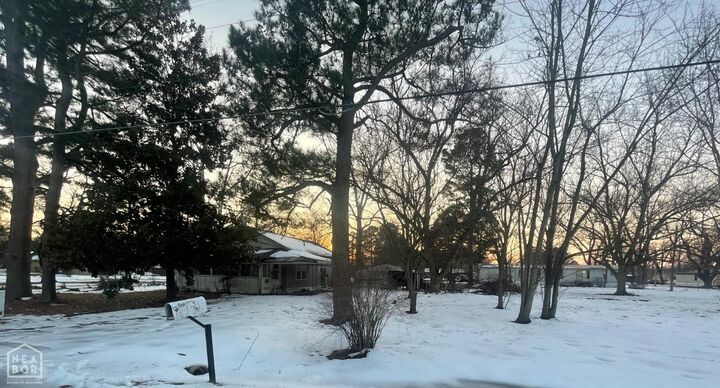 Property Photo: 503 Church Street AR 72479