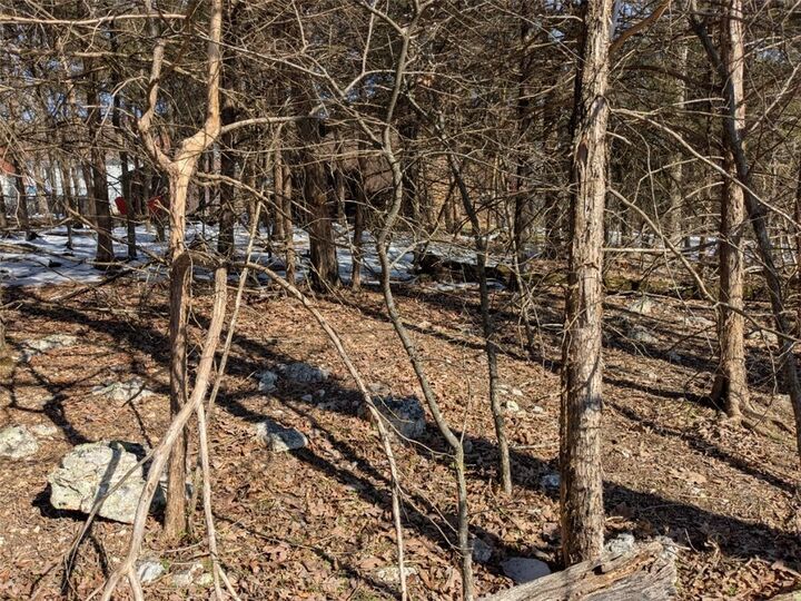 Property Photo:  Tbd Merion Drive  AR 72631 