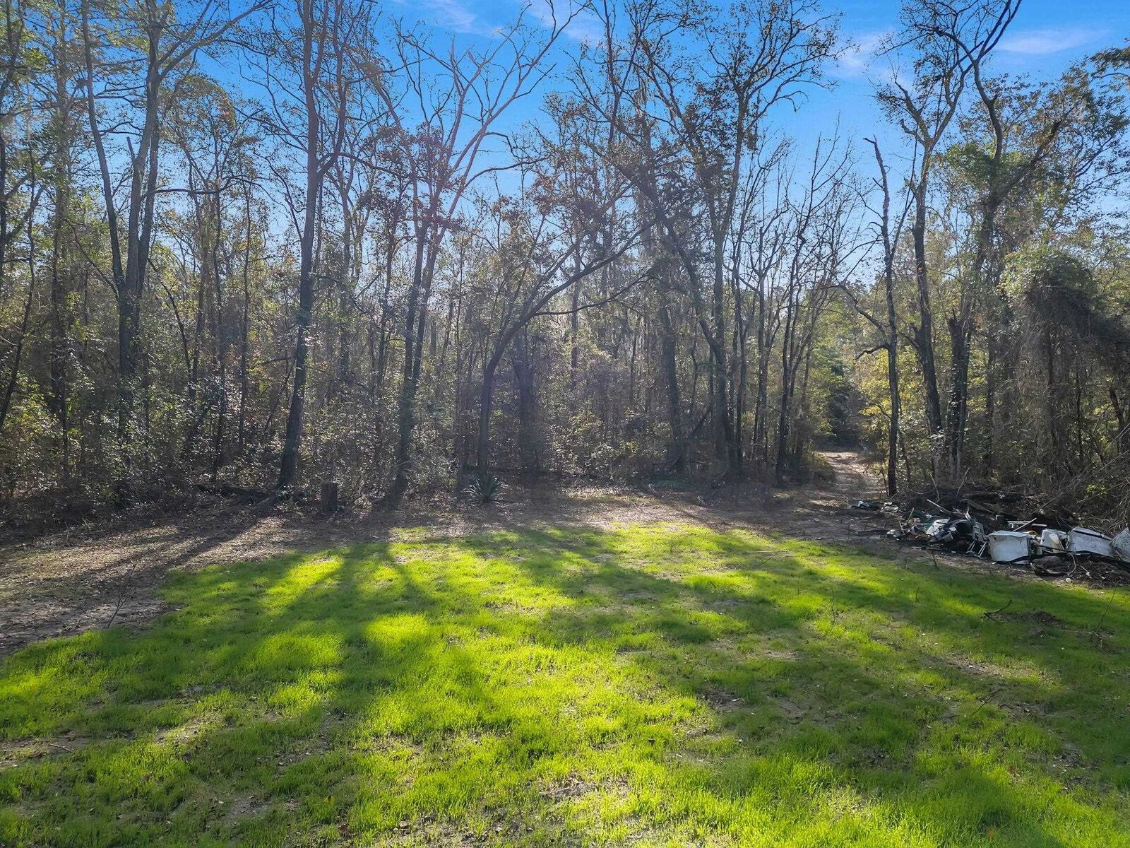 Property Photo:  15196 Casland Drive  FL 32309 