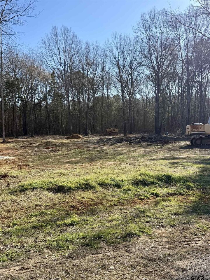 Property Photo:  17184 Cr 479 (Lot 2)  TX 75771 