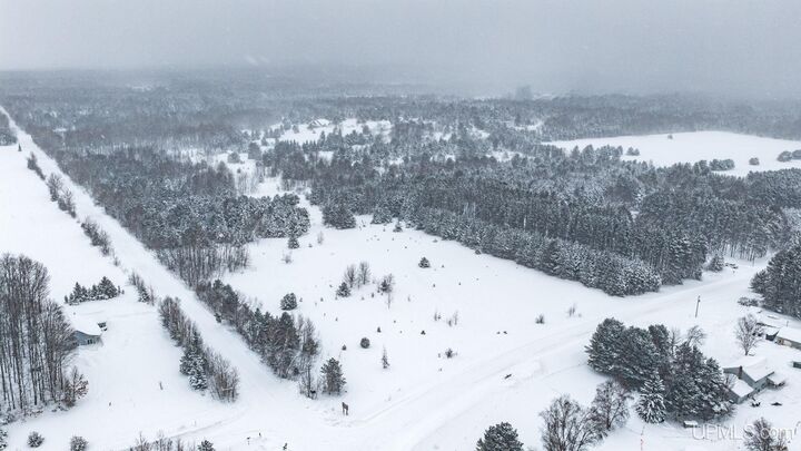 Property Photo: Parcel B Liminga Road MI 49905