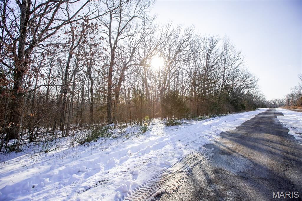 Property Photo:  173 Hickory Drive  MO 65453 