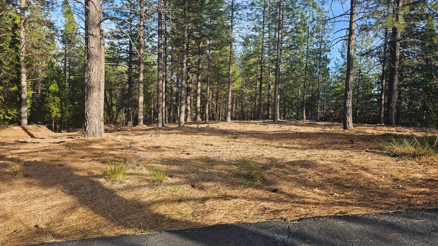 Property Photo:  2801 Harkness Street  CA 95634 