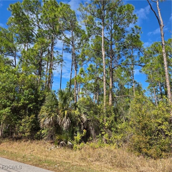 Property Photo:  47th Avenue NE  FL 34120 