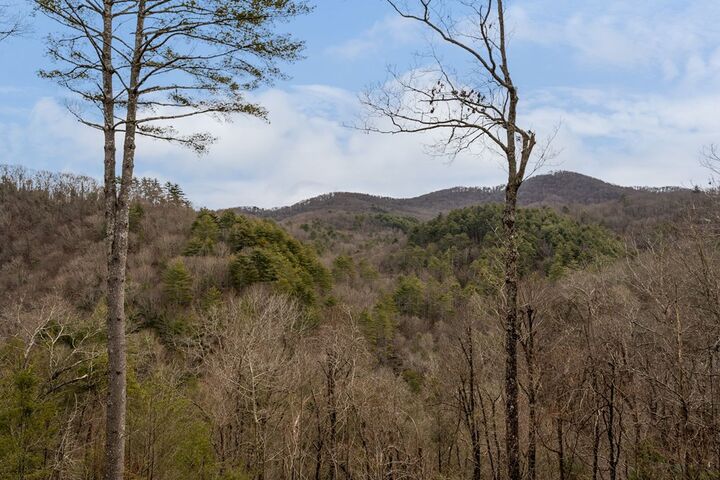 Property Photo:  197 Cashes Valley Overlook  GA 30522 