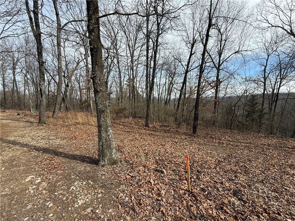 Property Photo: Tract 4 Cardinal Ridge Road AR 72632