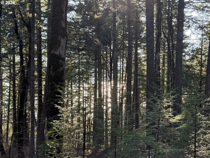 Property Photo:  Seward Rd  WA 98610 