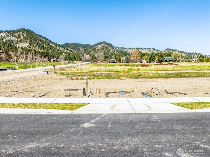 Property Photo:  102  Alpenglow Drive  WA 98826 