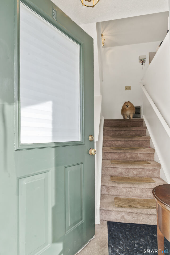 Property Photo:  10 South Street 36  CT 06810 