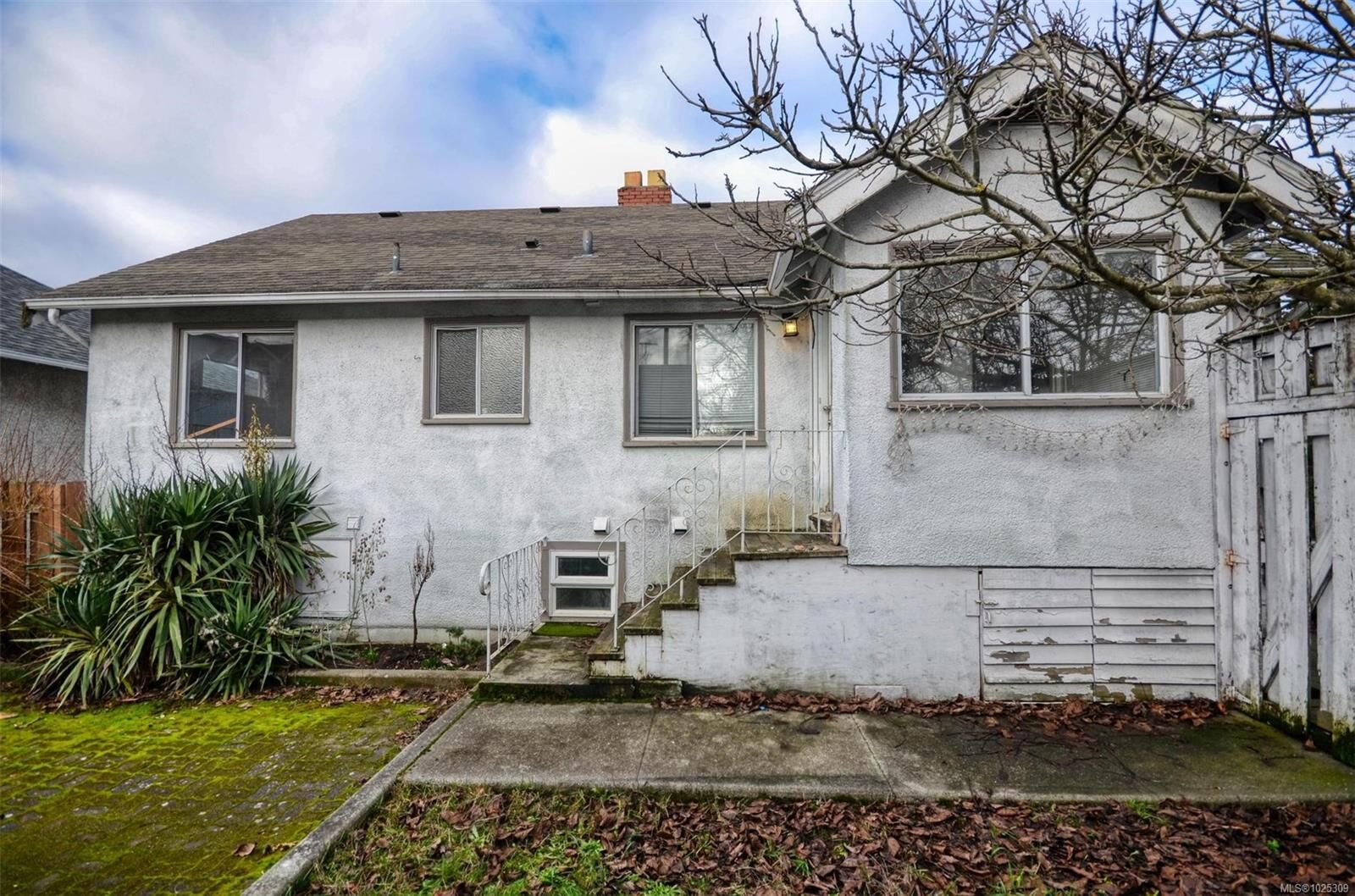 Property Photo:  1237 Hillside Ave  BC V8T 2B1 