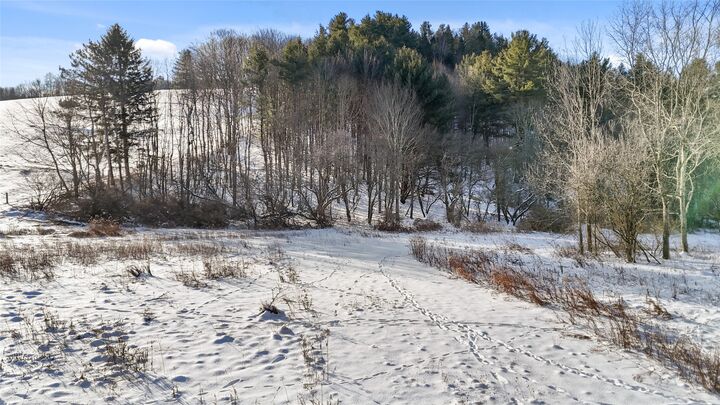 Property Photo:  206 Wade Hollow Road  NY 13827 