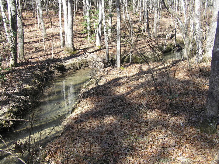 Property Photo:  975 Dell Lane  TN 38585 