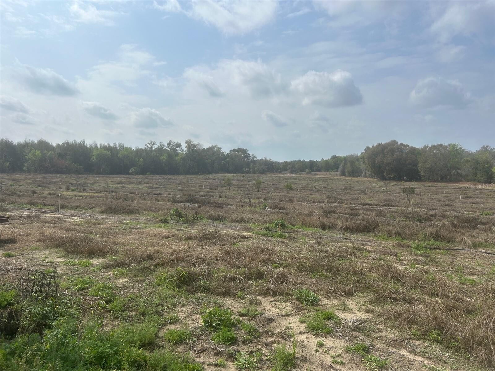 Property Photo:  Number Two Road  FL 34748 