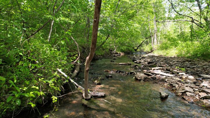 Property Photo:  3795 Wayland Springs Rd  TN 38463 