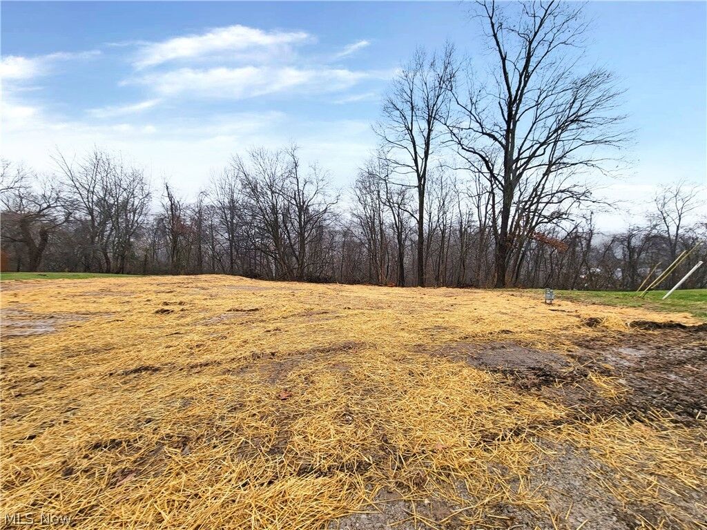 Property Photo: 1419 15th Avenue WV 26101