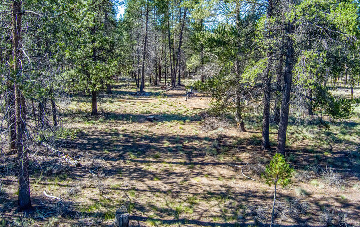 Property Photo:  Alderwood Drive Tl8700  OR 97739 