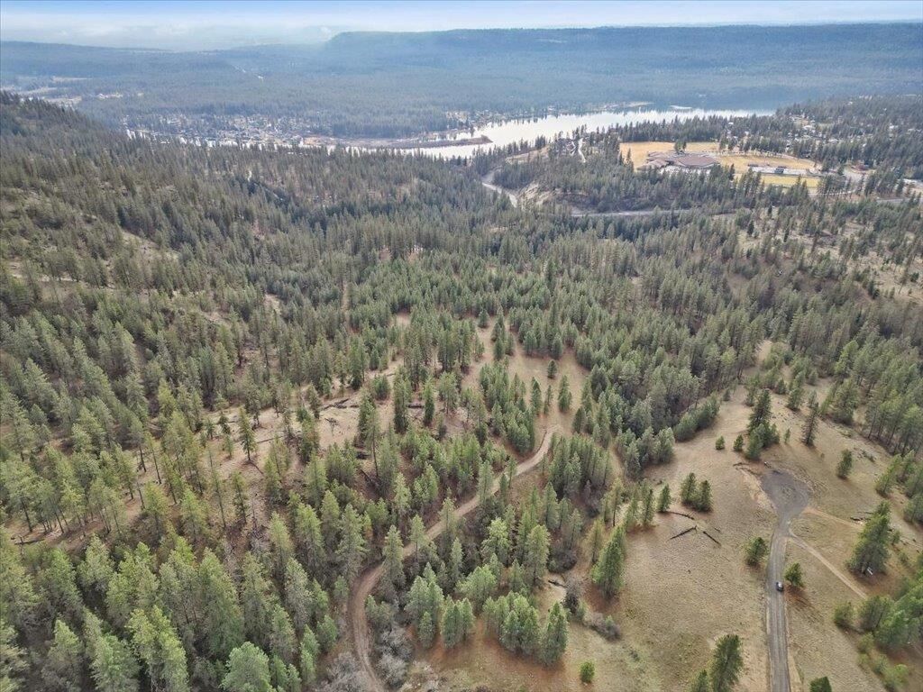 Property Photo:  Nka Lower Weaver Way Lot 13  WA 99006 