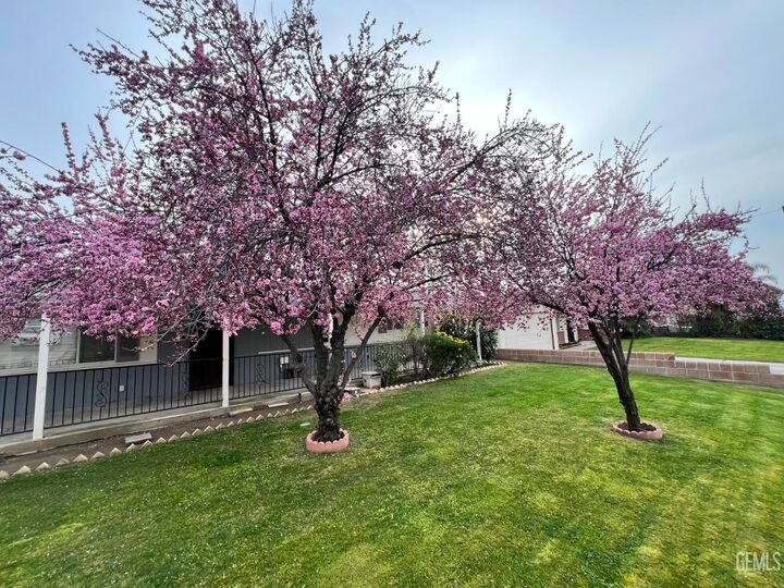 Property Photo: 2907 Driller Avenue CA 93306