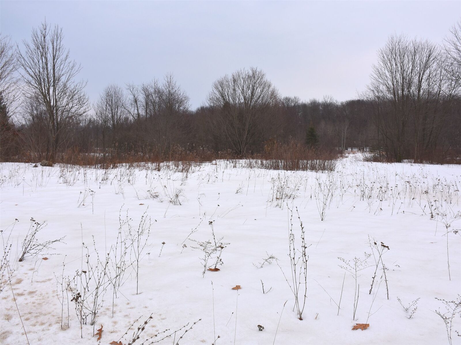 Property Photo:  5876 Main Street  PA 16131 