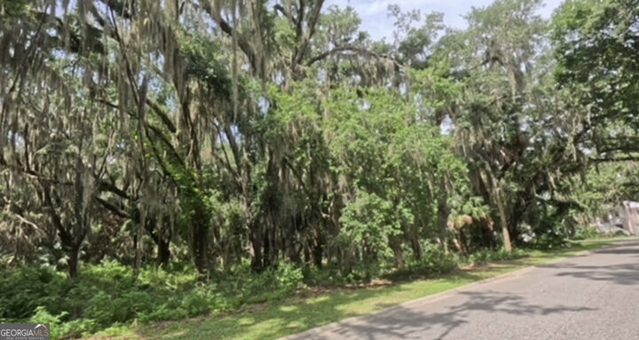 Property Photo:  919 Wagner Lane  GA 31558 