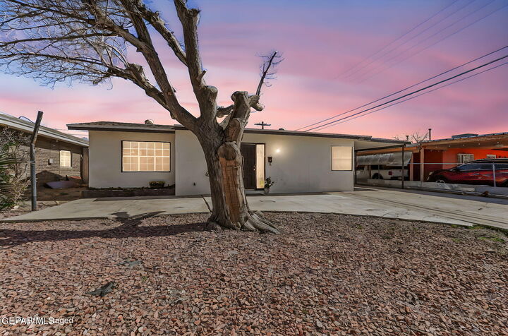 Property Photo:  8804 Mount Delano Drive  TX 79904 