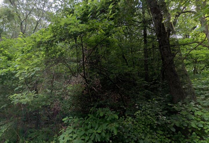 Property Photo:  0 Pleasant Avenue  IN 46301 