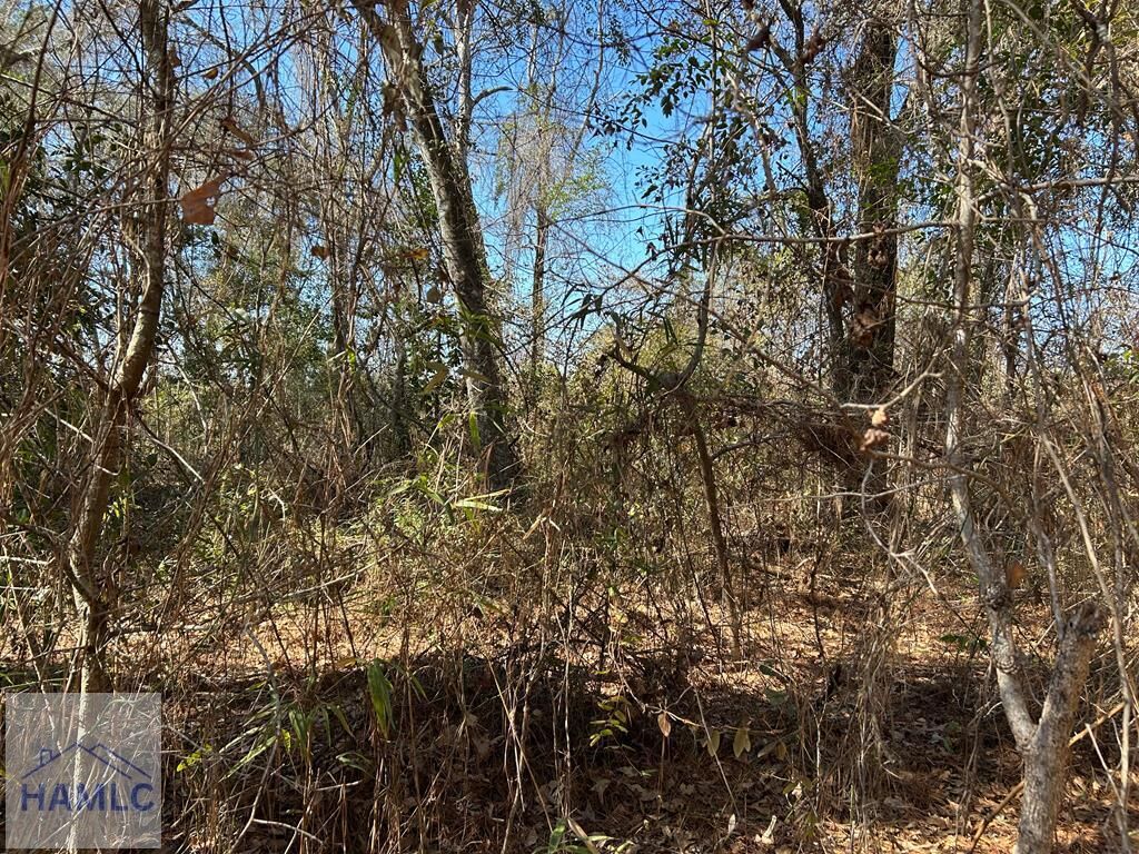 Property Photo:  None Barrington Ferry Road  GA 31323 