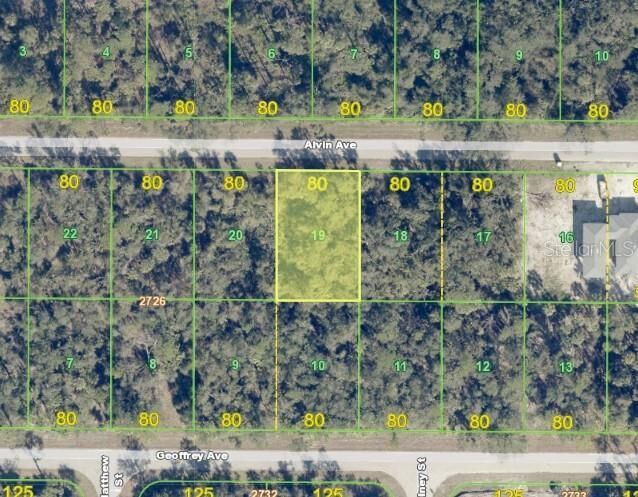 Property Photo:  17175 Alvin Avenue  FL 33948 