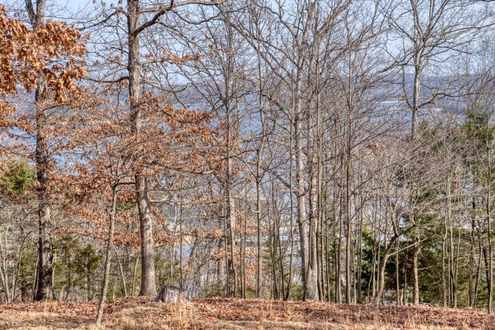 Property Photo:  3858 Mundell Road  AR 72631 