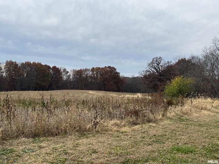 Property Photo:  N Tarters Ferry Lane  IL 61477 