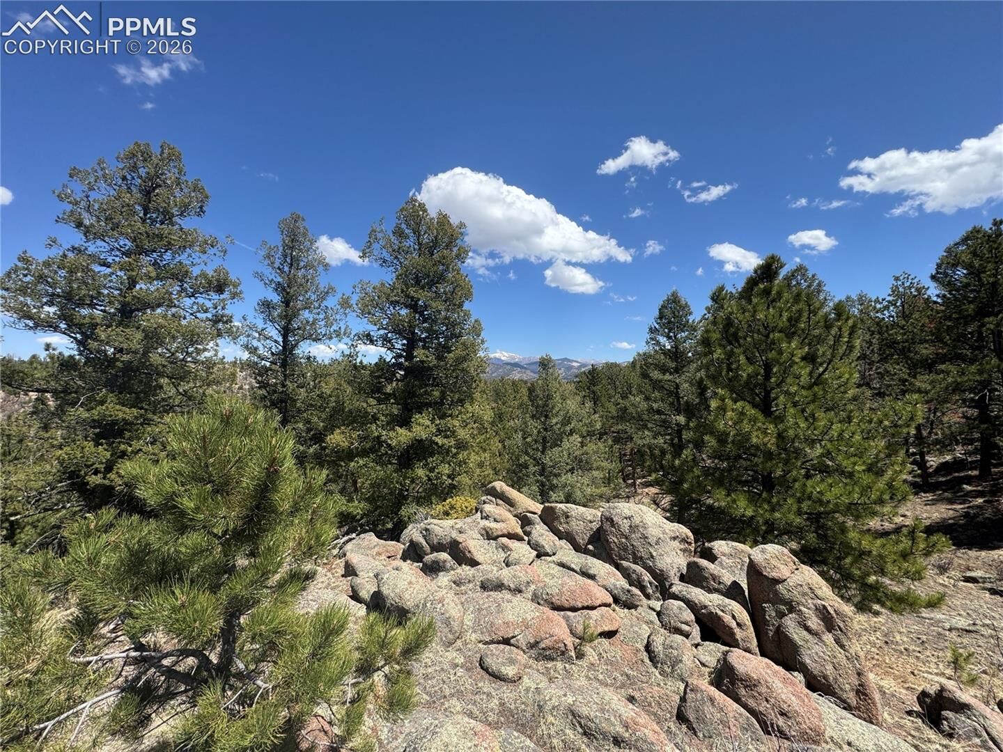 Property Photo:  487 Pike View Lane  CO 80816 