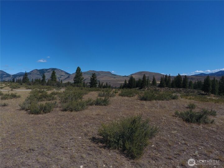 Property Photo:  1  Perrow Drive  WA 98862 