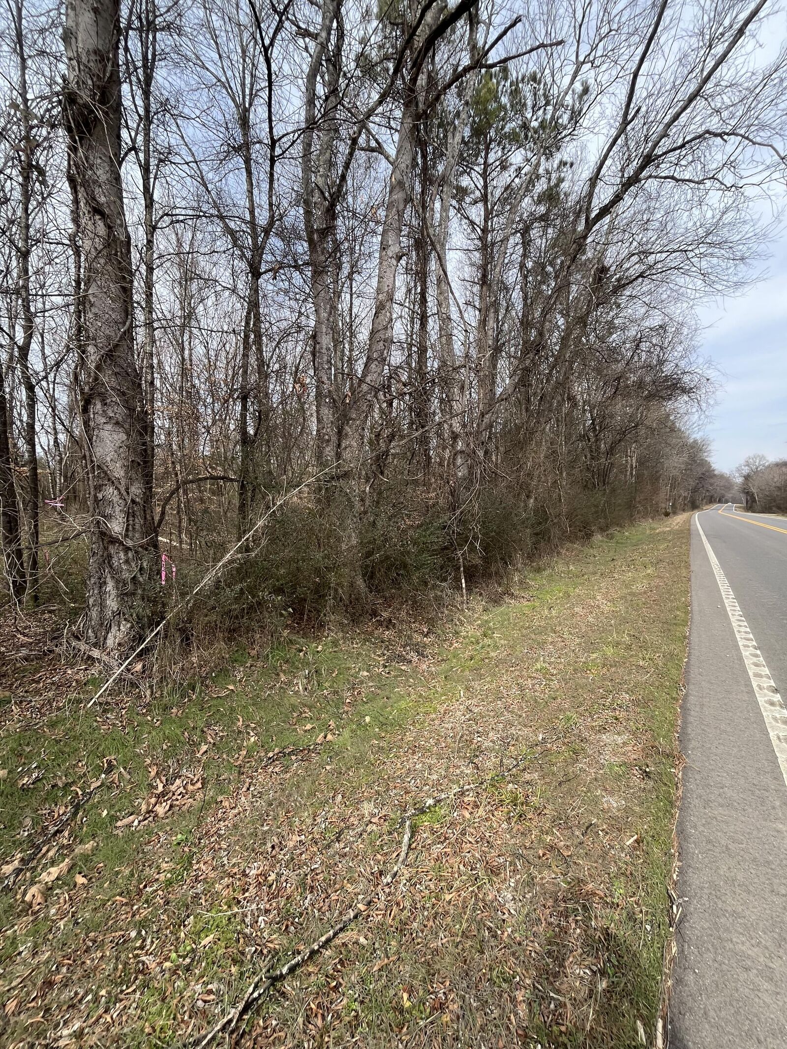 Property Photo:  Lot 3 Tennessee 304  TN 37322 