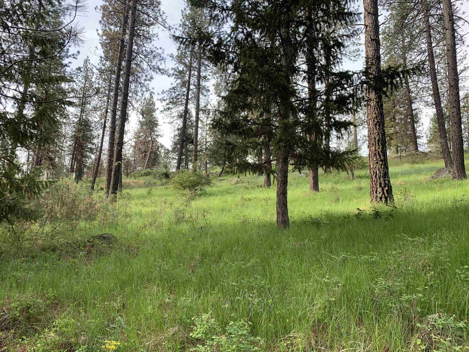 Property Photo:  160xx N Austin Rd  WA 99208 