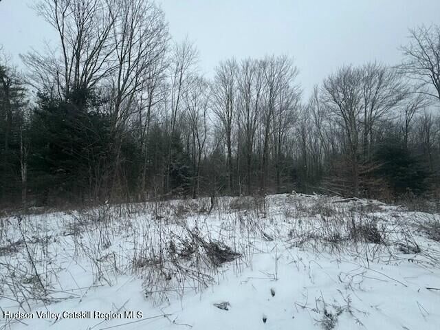 Property Photo:  Tbd County Route 84  NY 13706 