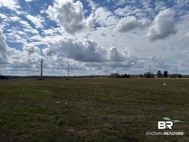 Property Photo:  0 Old Atmore Road  AL 36441 