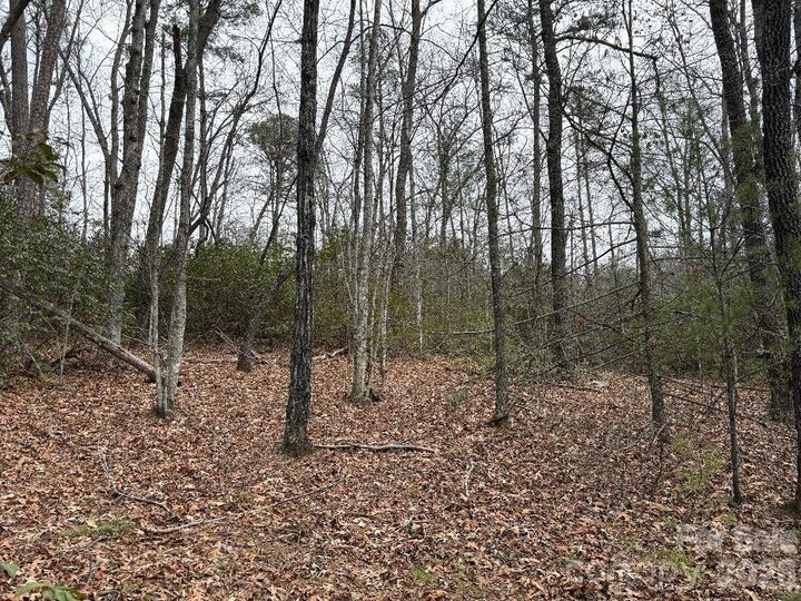 Property Photo: Lot 106 Ravenswood Drive NC 28752
