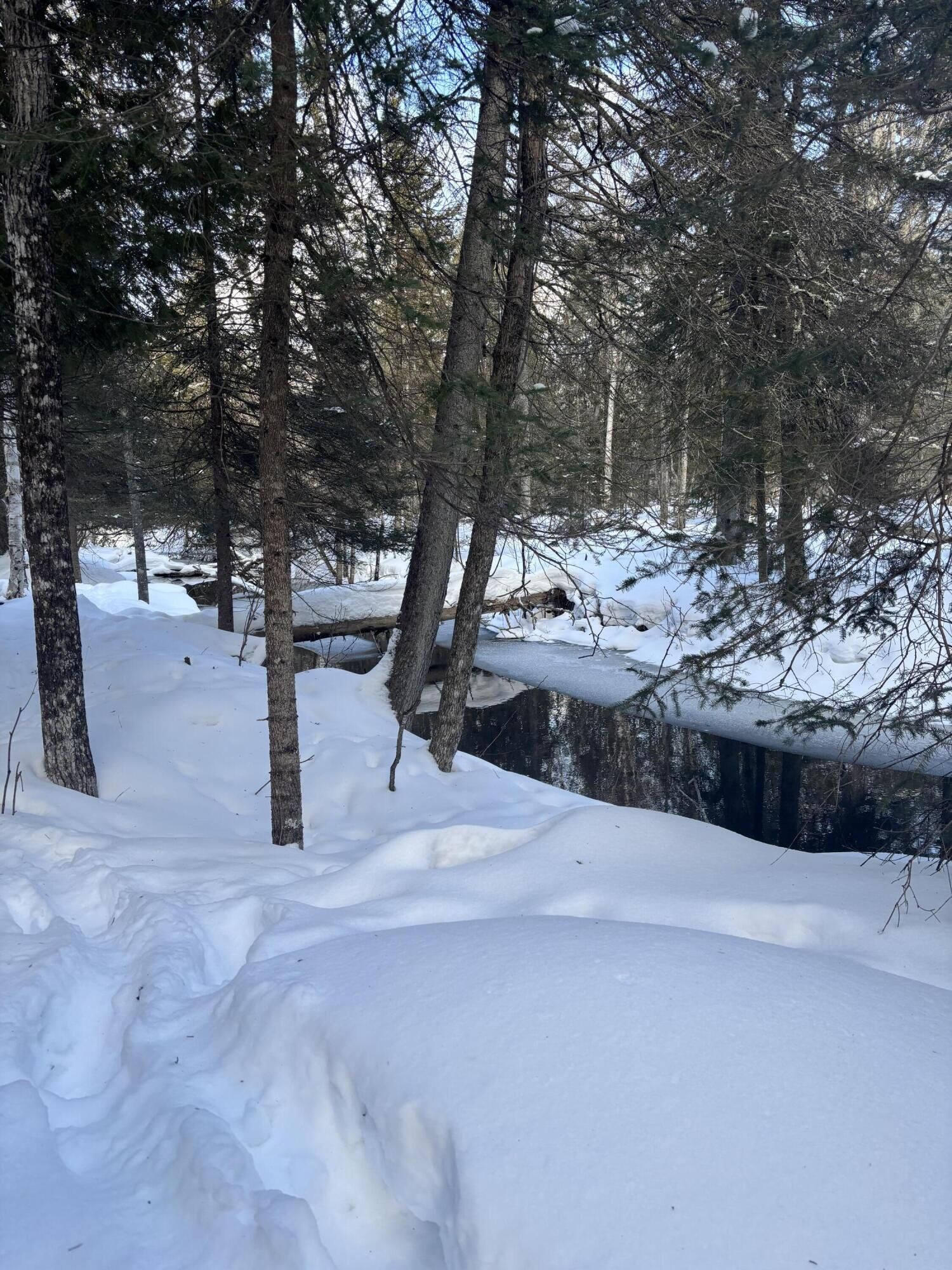 Property Photo: Tbd S Flower Bay Rd MI 49719