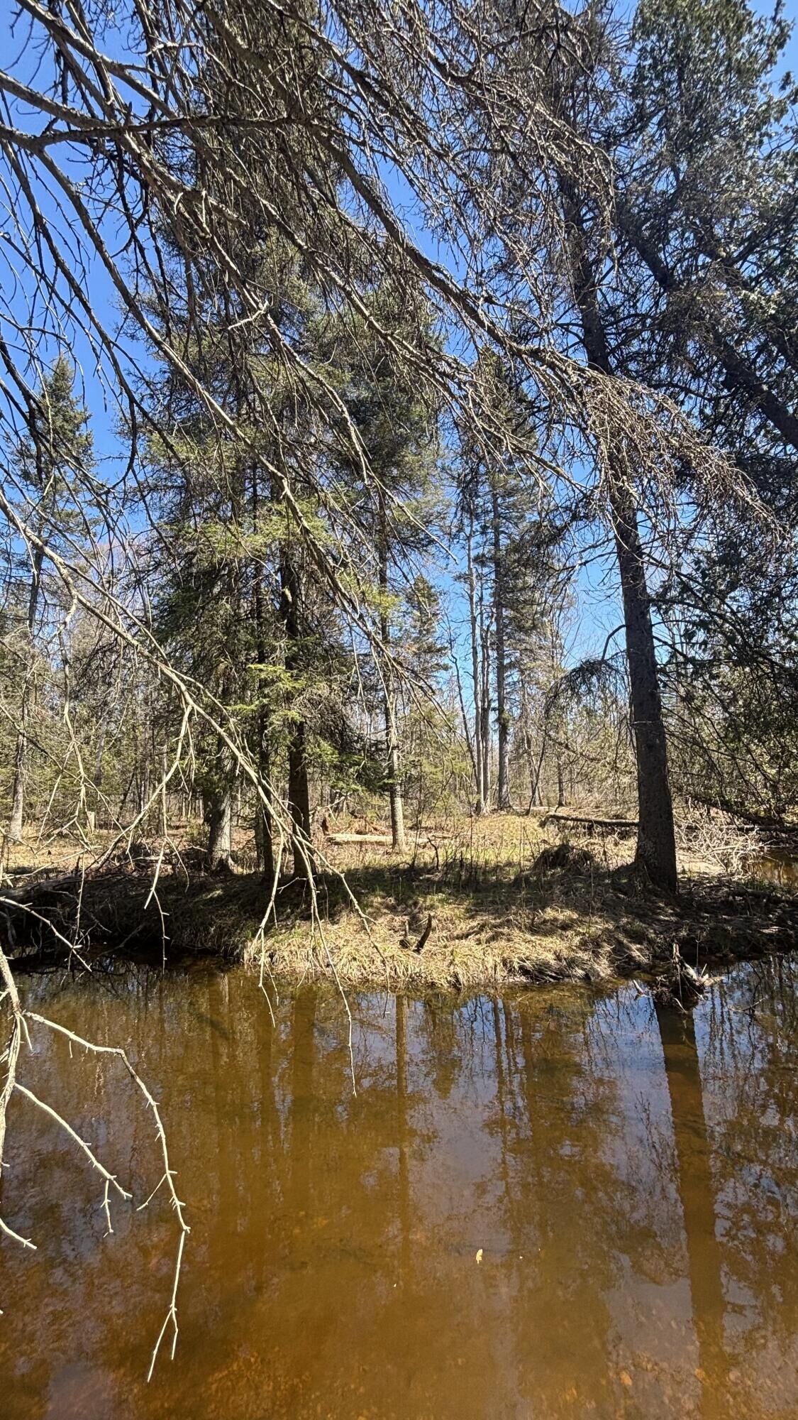 Property Photo: Tbd S Flower Bay Rd MI 49719