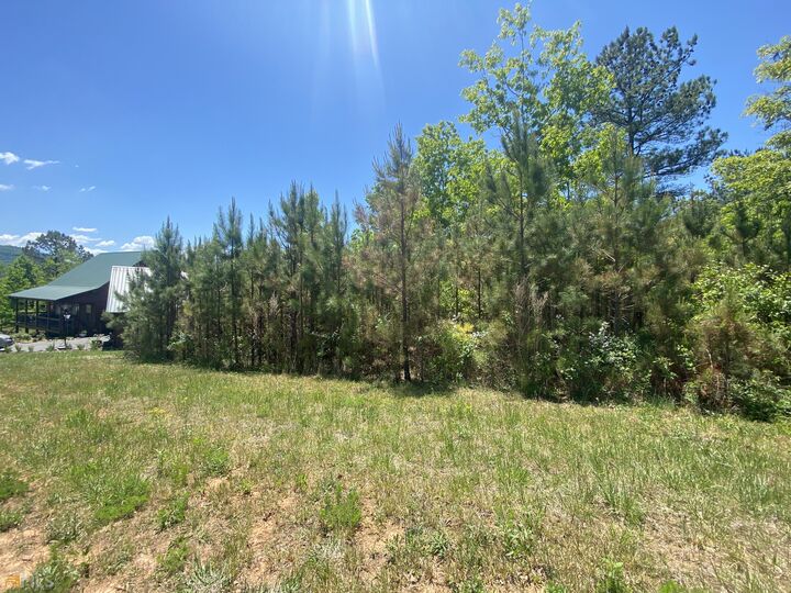 Property Photo:  Lt 55 Village Loop  GA 30512 