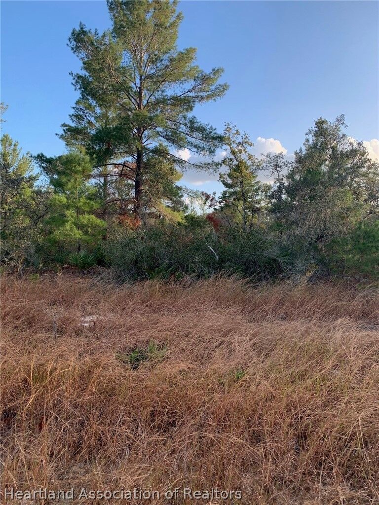 Property Photo:  2851 W Seville Drive  FL 33825 