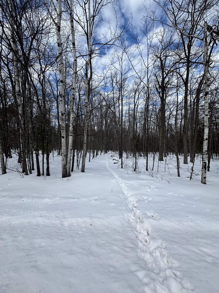 Property Photo:  000 Cherryville Rd  WI 54806 