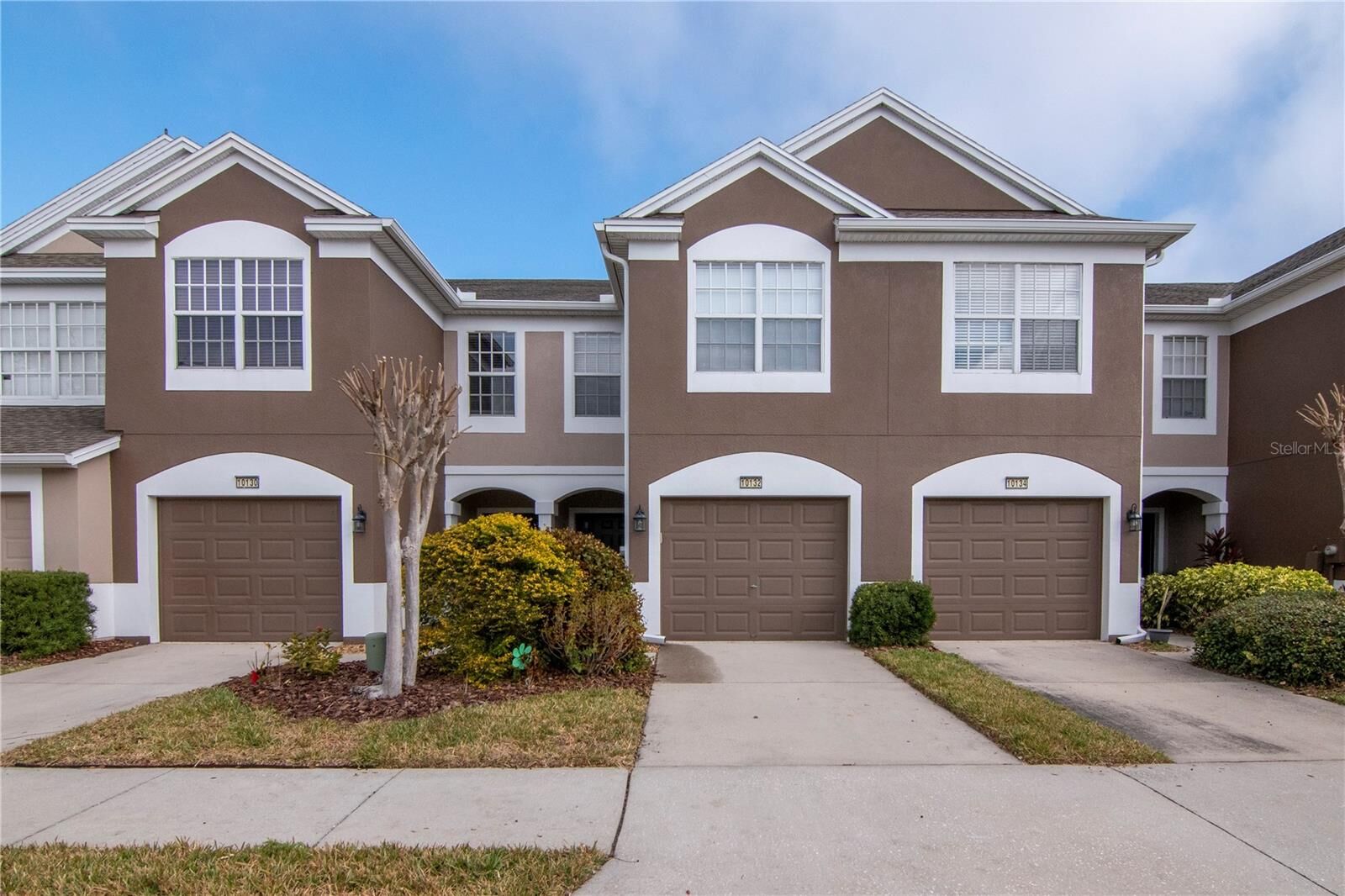 Property Photo:  10132 Pink Palmata Court  FL 33578 